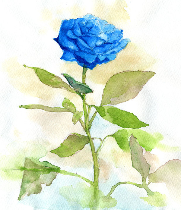 bluerose