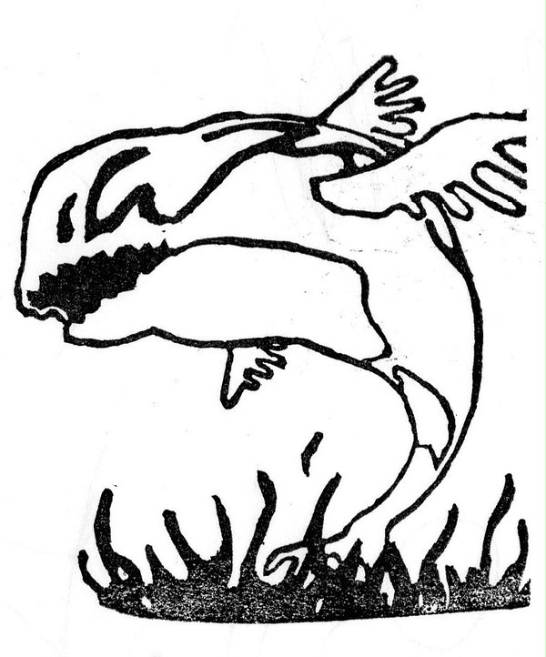 【消しハン③】地縛神　魚