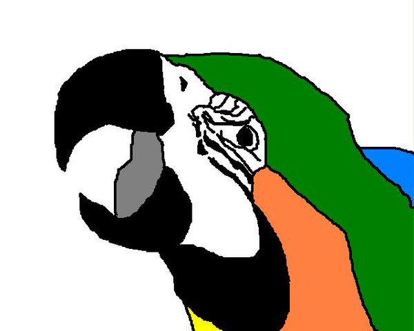 ルリ