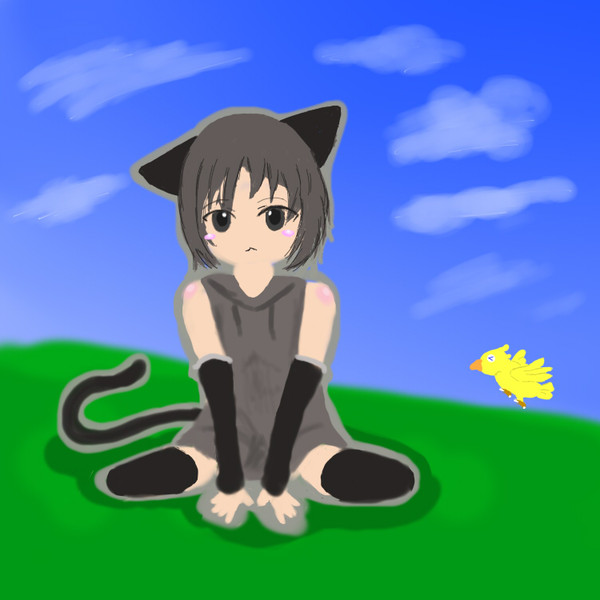 ねこやまこ