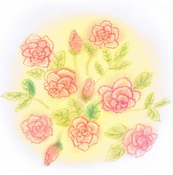 薔薇