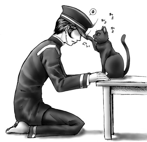 反省させるのは猫にも出来る