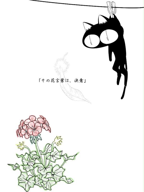 ゼラニウム