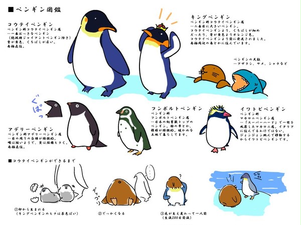 ペンギン図鑑