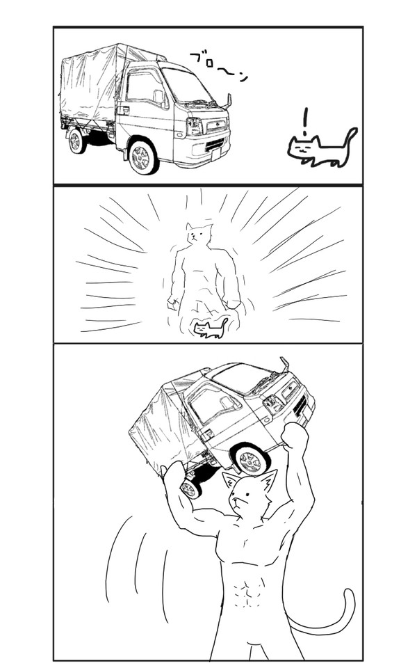 ぬこ