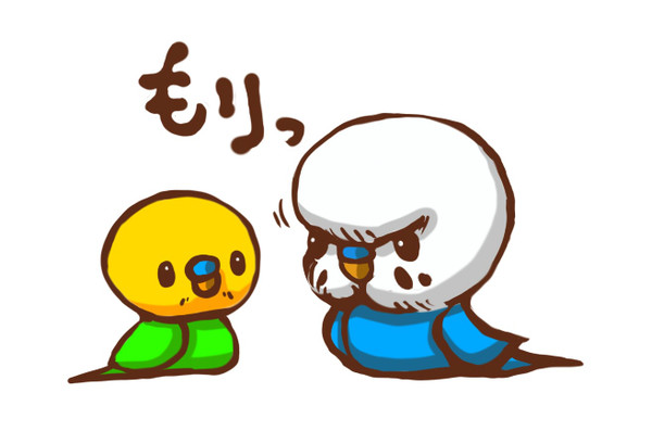 もりっ！