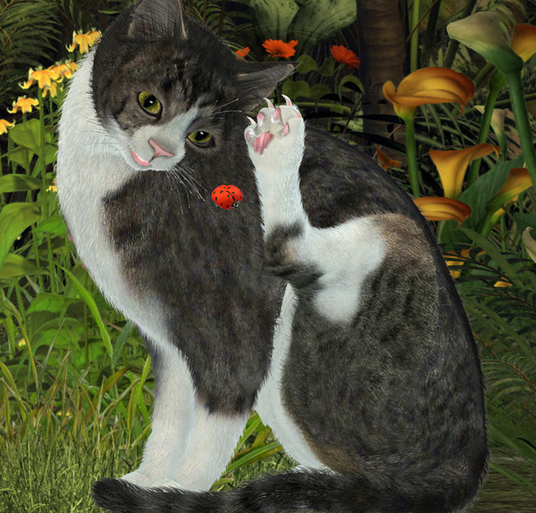 子猫とテントウムシ