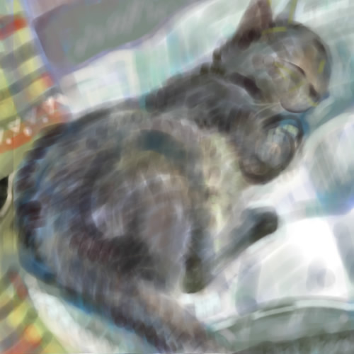 ねこ