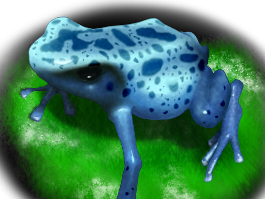 ヤドクガエル