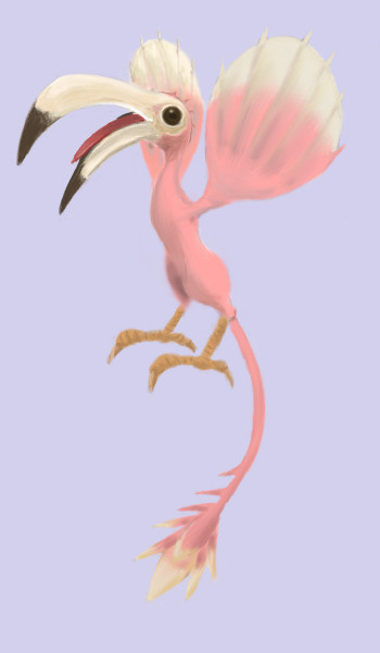 コリブリ