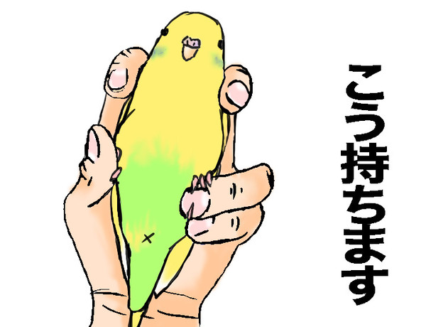 【イメレス】こう持ちます