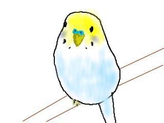 うちのこ。