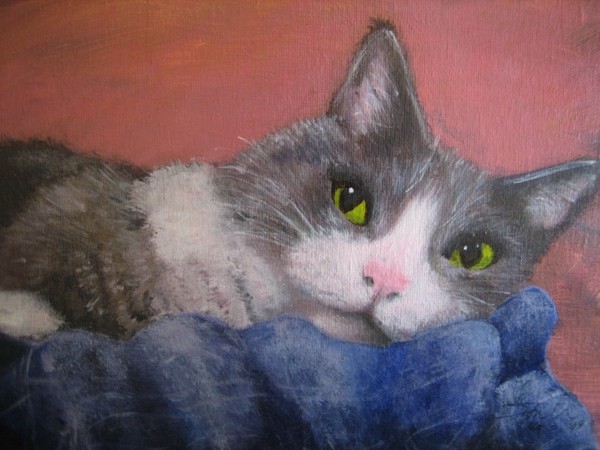 愛猫