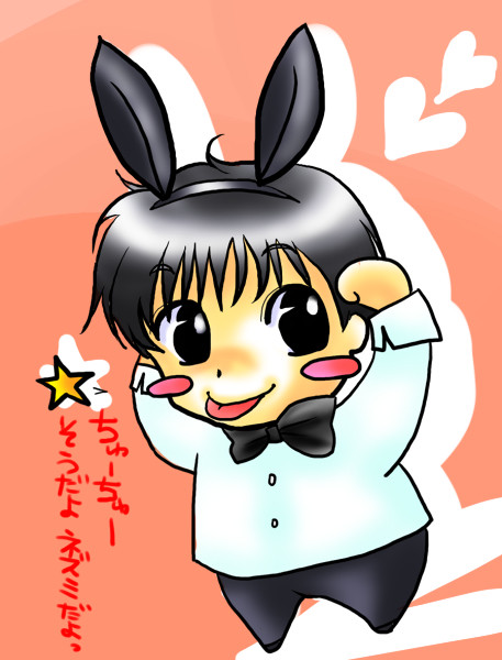 バニーボーイ