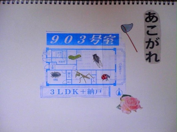 あこがれ