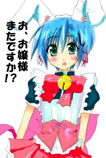 ハーたん