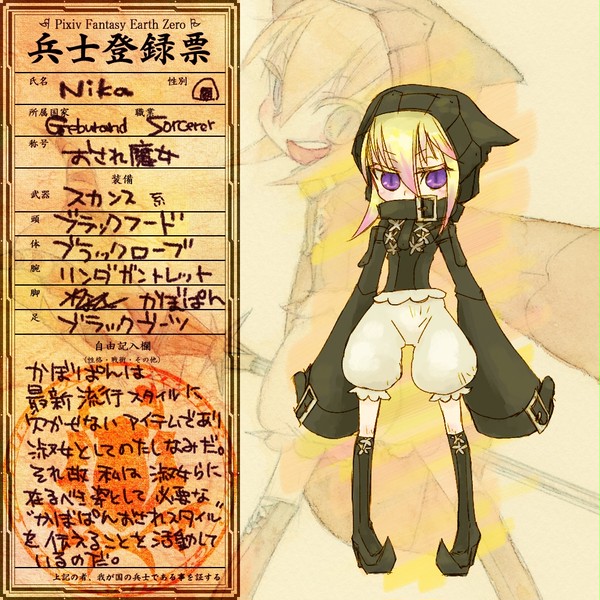 【ぴくふぇず】Nikaの兵士登録票