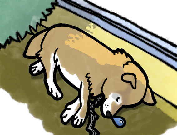 昼寝