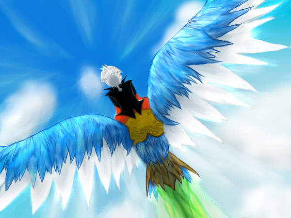空を翔る