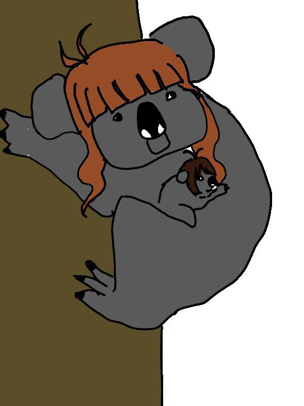 こあらかわいい