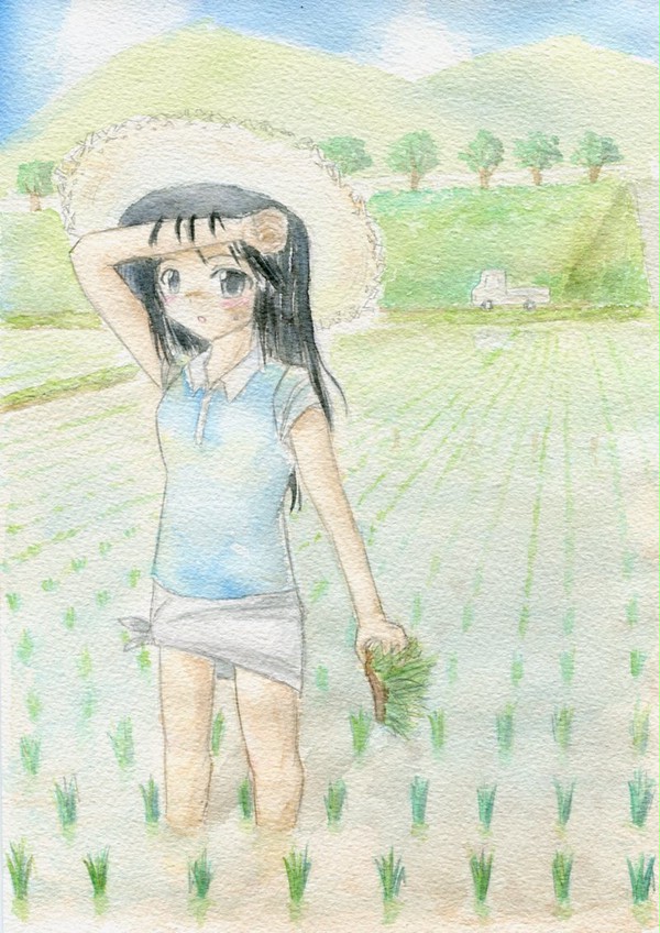 お米はじめました