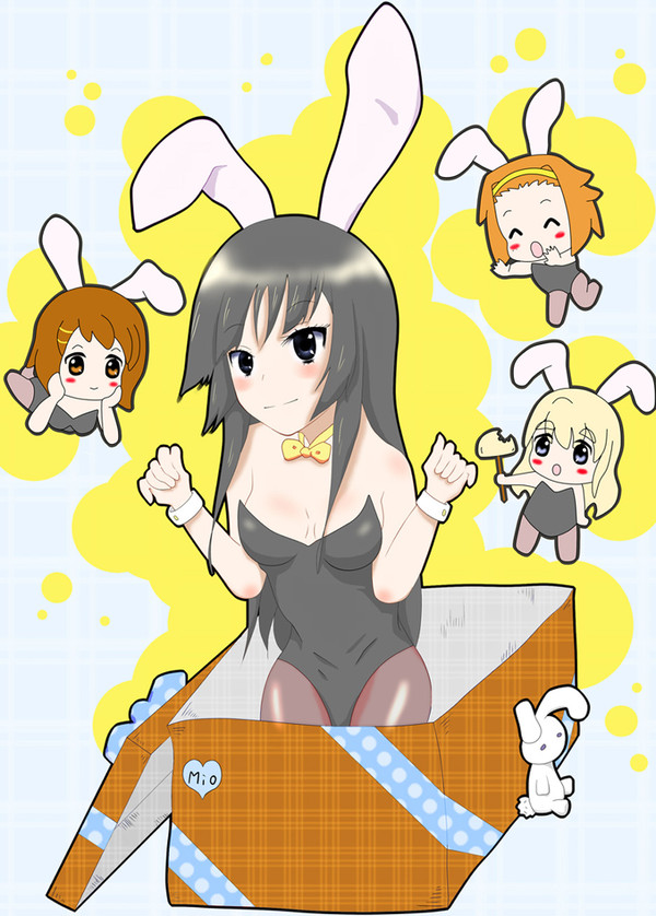 バニーの箱