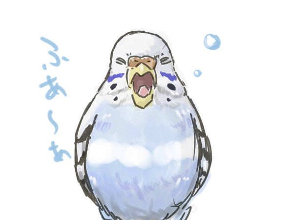 あくびするピーちゃん