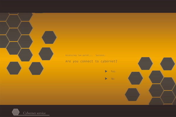 cybernet service