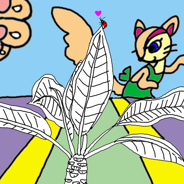 プルメリア