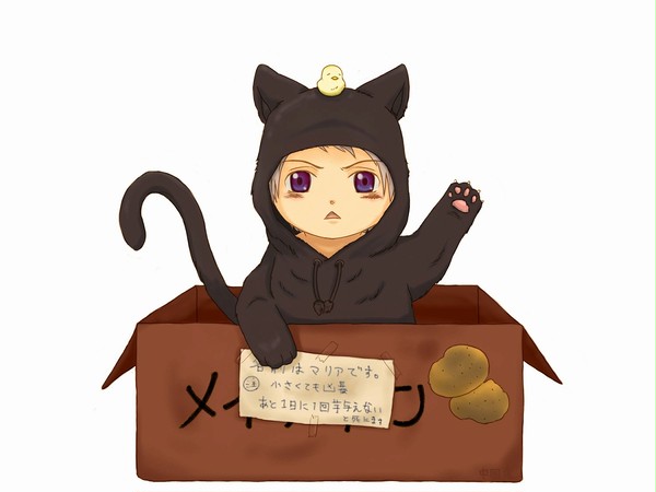 拾ってもいいんだぜ