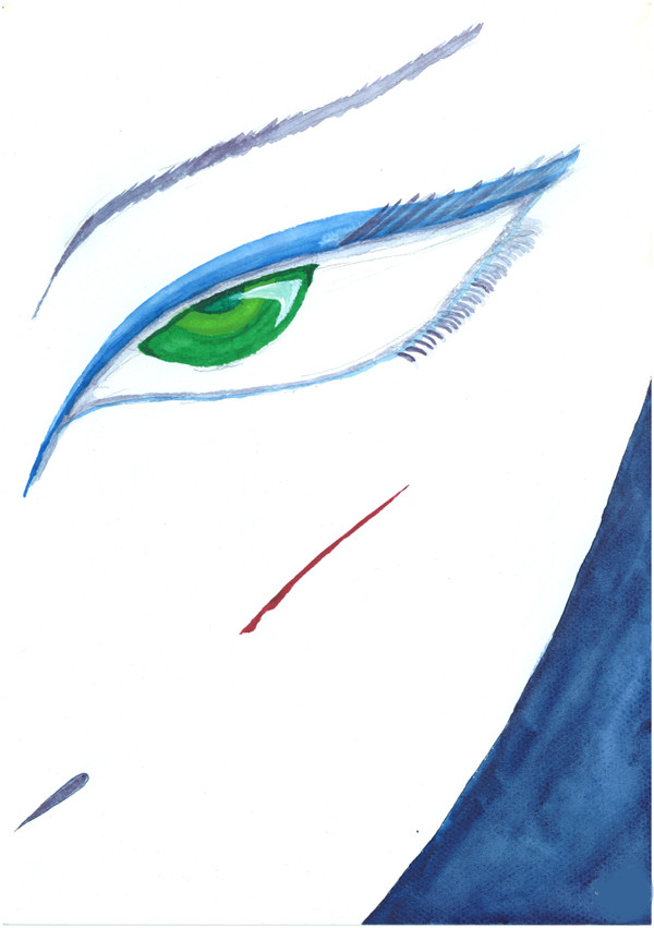 The 3rd eye