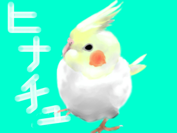 うちのトリ