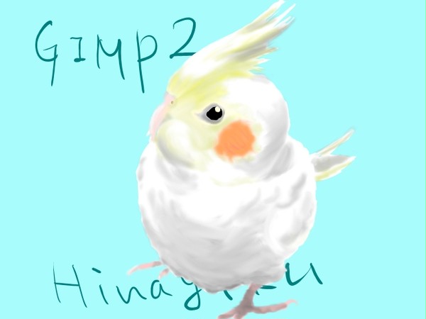 うちのトリ２