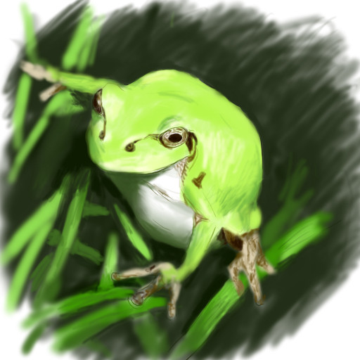 カエルさん