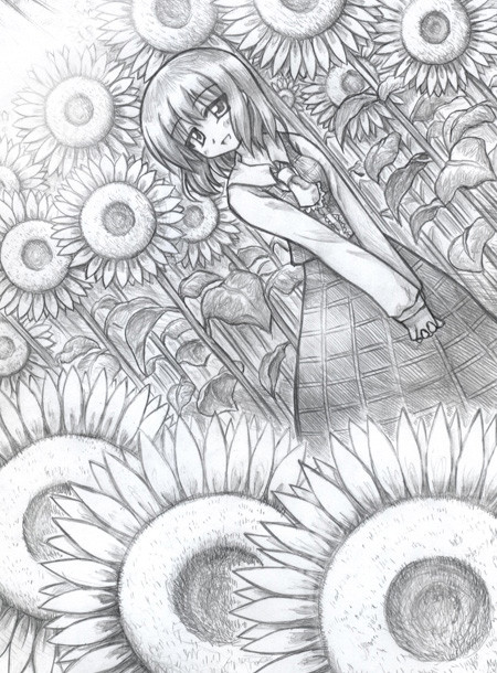 シャープペンで幽香描いてみた