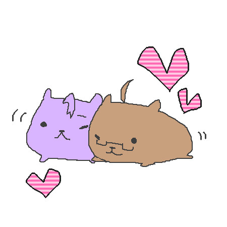 めがみど？②