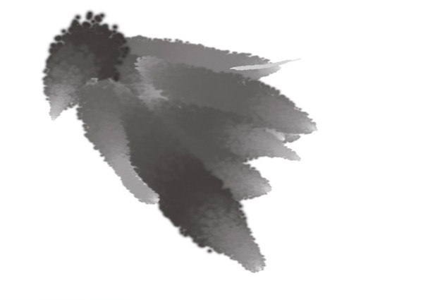 鳥