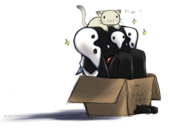 こねこ、ひろってください