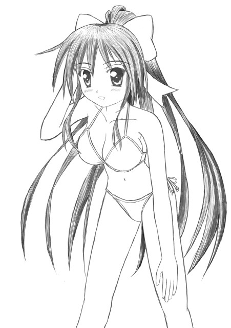 夏なので