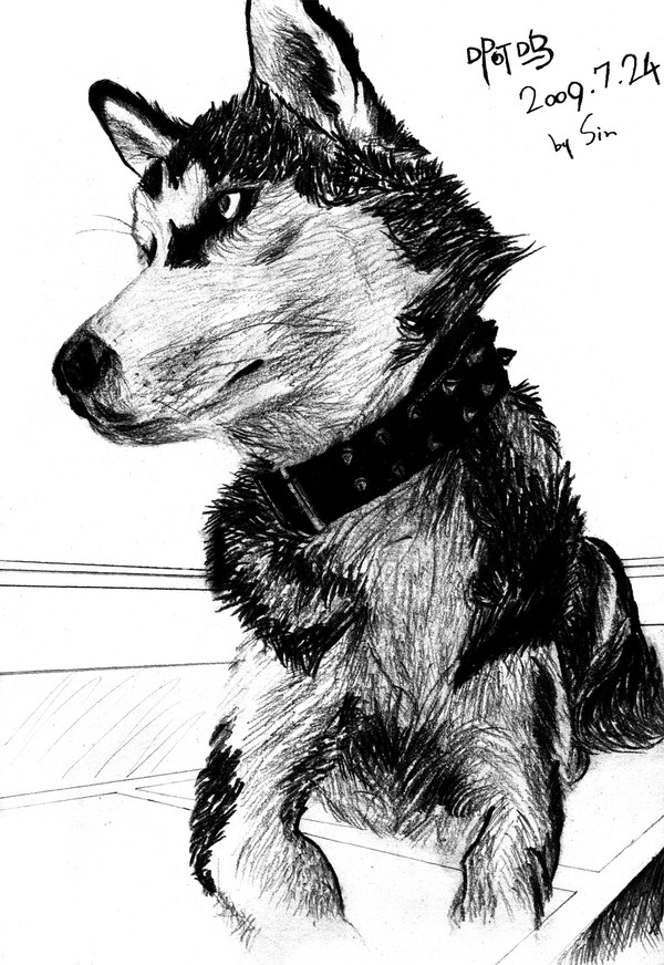 My Hasky doggy
