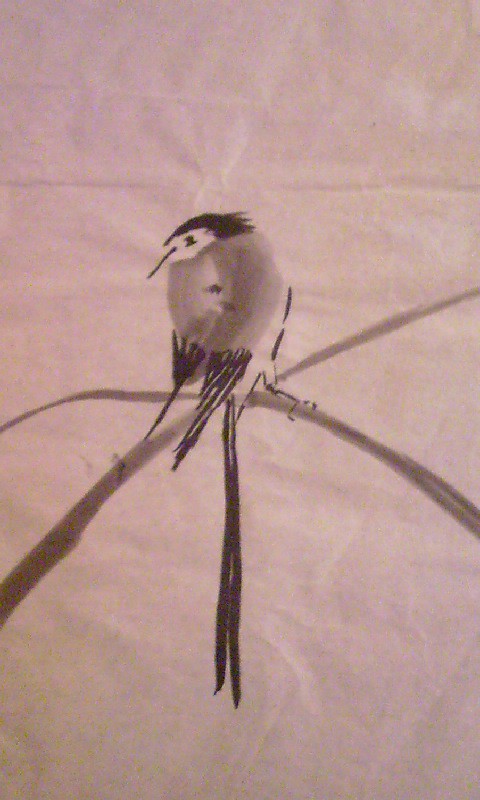 鳥　