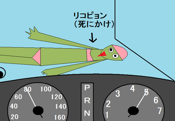リコピョンに止めを刺す