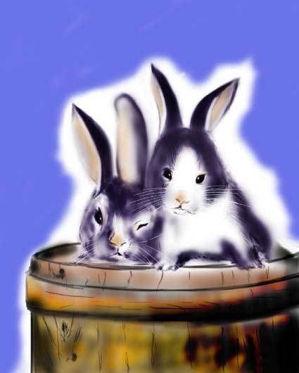 うさぎ