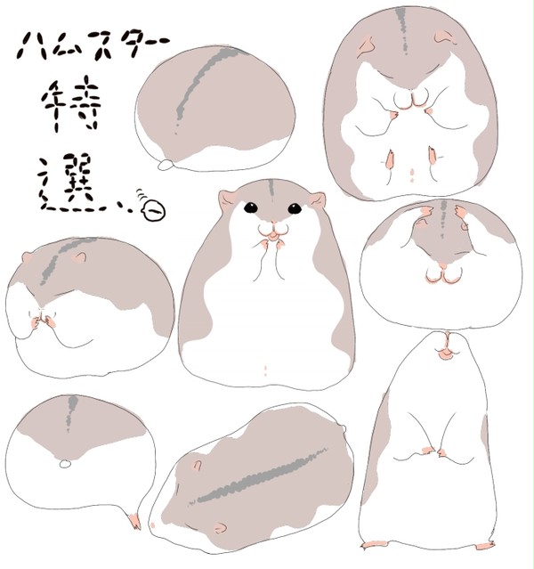 記憶をたよりにハムスター