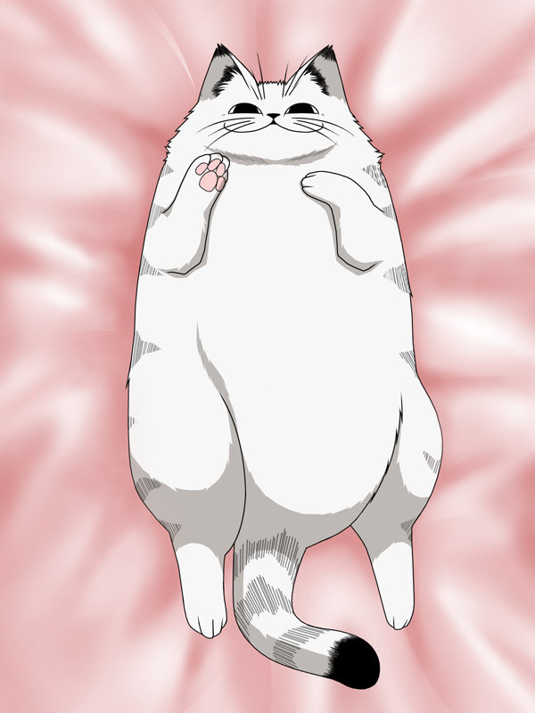 とんぬらさん抱き枕