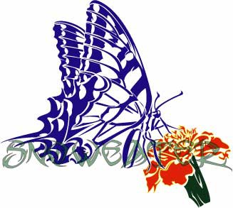 Tribal-Swallowtail