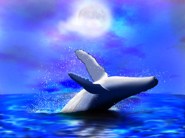 Night Whale