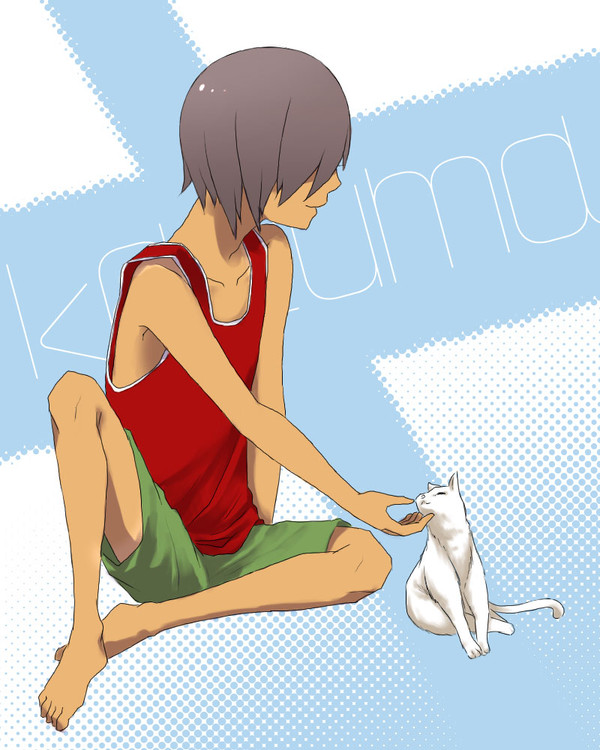 カズマきゅんと猫