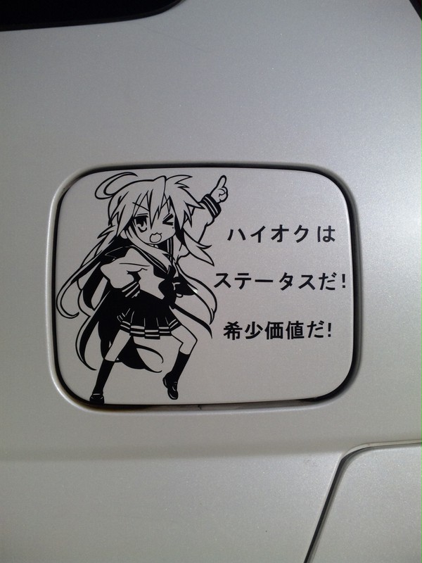 張ってみた!