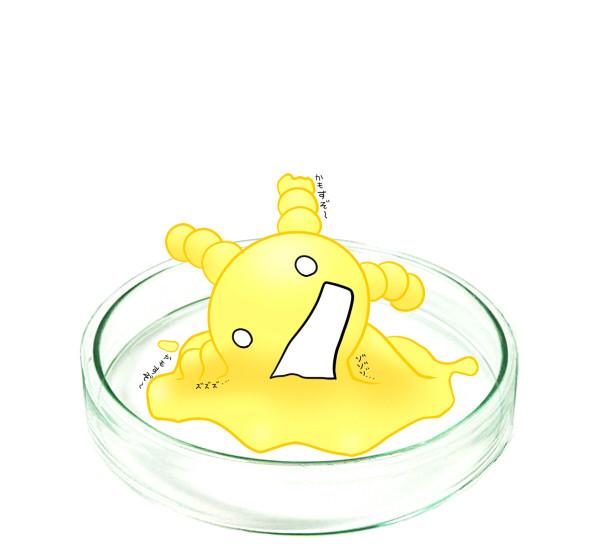 ズズズ・・・